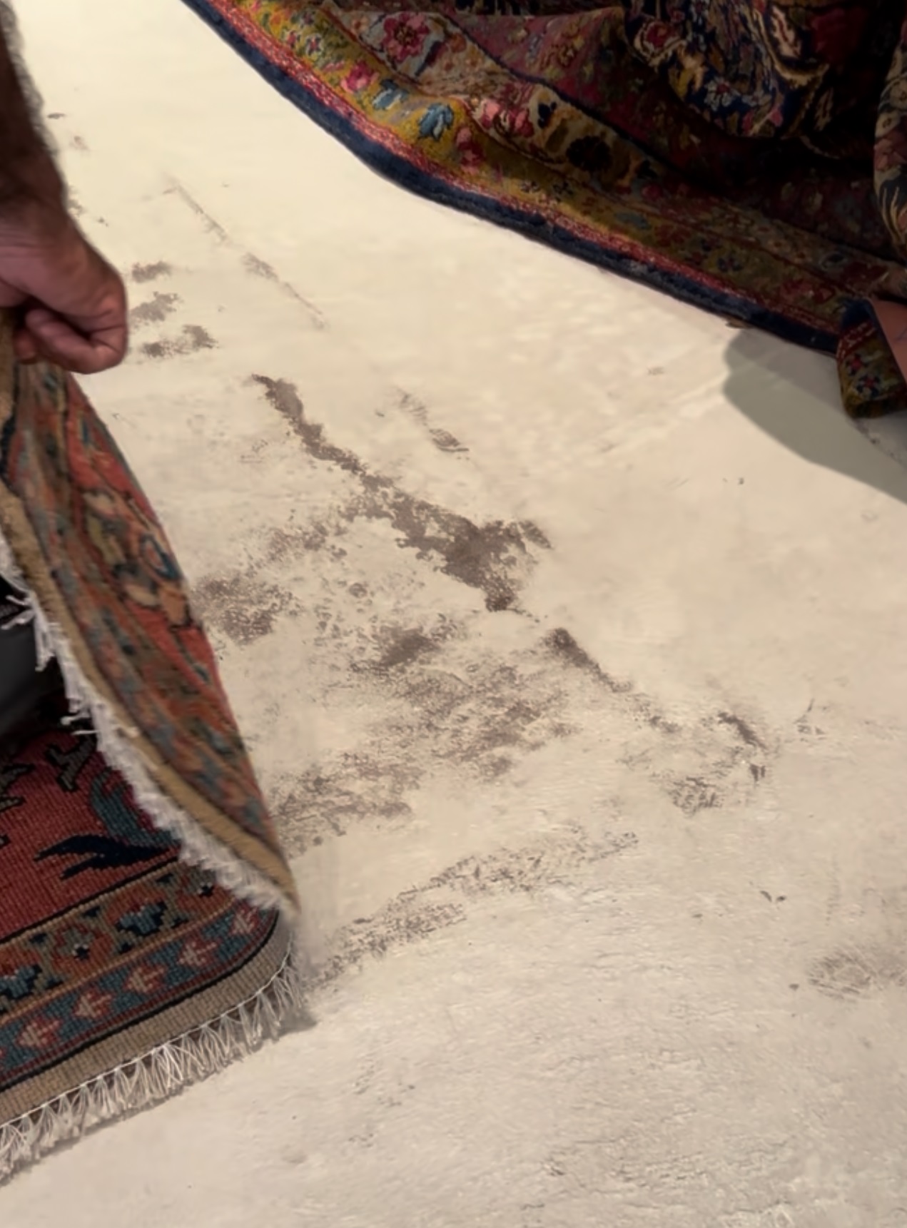  Dust, Dirt & Vacuuming 