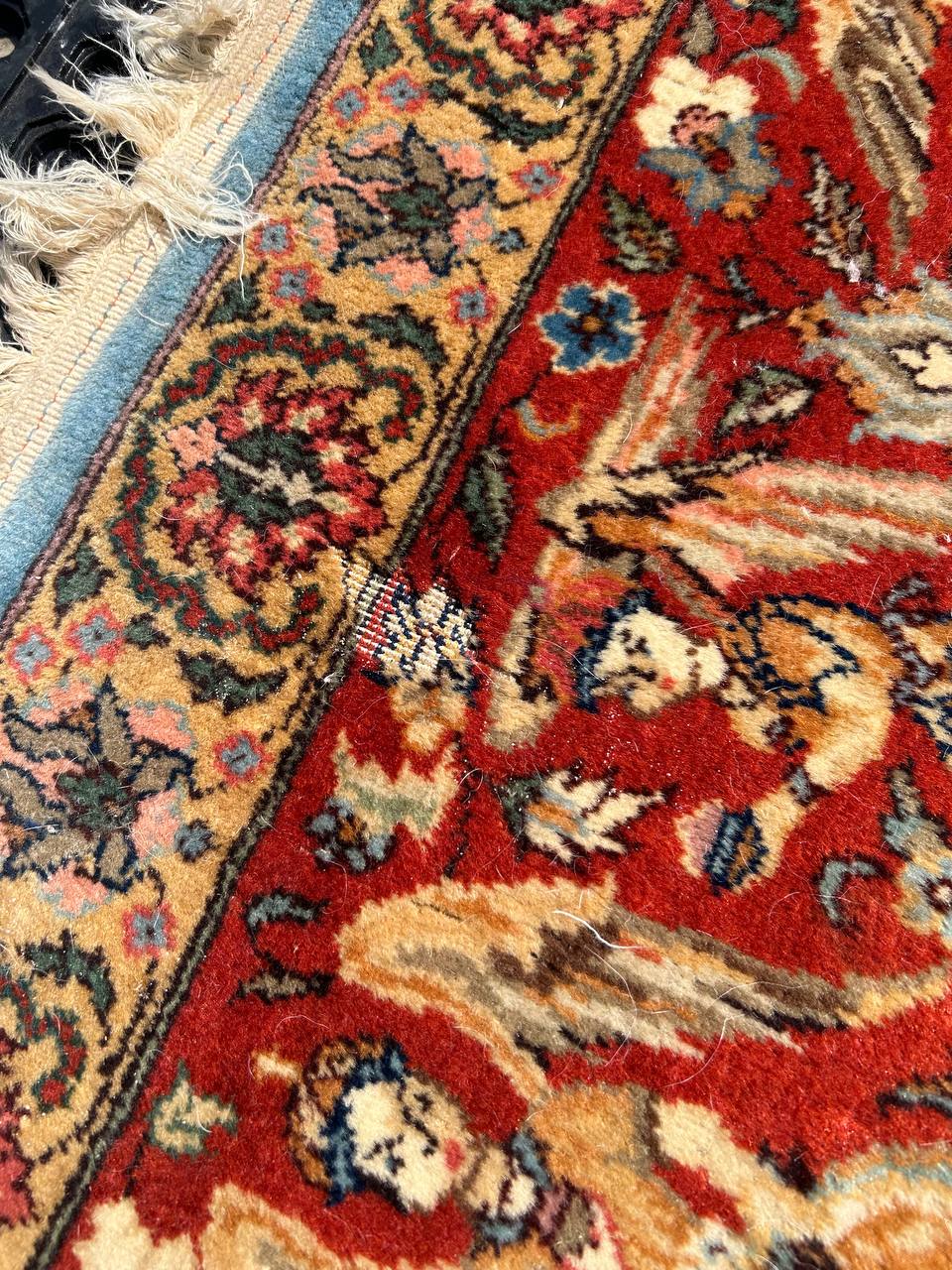  Moth & Moth Proofing 