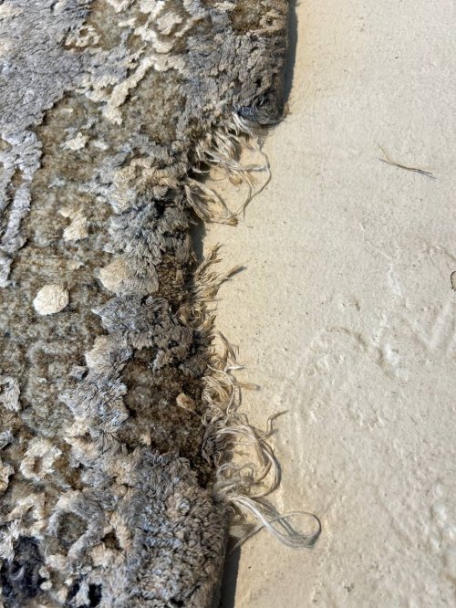 Tampa, Florida - Restoration - 135