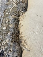 Tampa, Florida - Restoration - 135